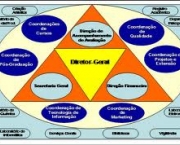 organizacao-administrativa-15