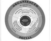 organizacao-social-5