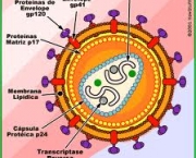 origem-da-aids-siv-1