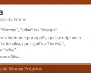Origem Sobrenome Silva (4)