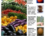 Os Beneficios de Uma Dieta Rica em Antioxidantes (2).jpg