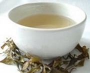 os-cha-antioxidantes-existem-4