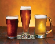 os-diferentes-tipos-de-cerveja-3