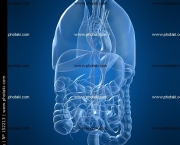 os-hepatoprotetores-e-seus-desafios-9