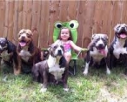 os-pit-bulls-e-a-sociedade-5