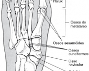 ossos-do-corpo-humano-10