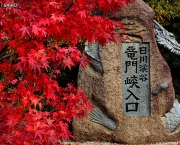 outono-no-japao-4.jpg