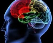 ouvir-musica-classica-aumenta-a-capacidade-cerebral-5