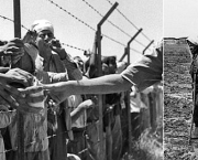 palestinos-15