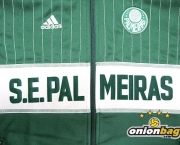 palmeiras-ultimas-noticias-14