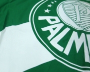 palmeiras-ultimas-noticias-4