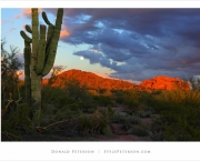 papago-park-8