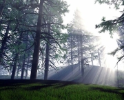 papel-de-parede-com-natureza-11