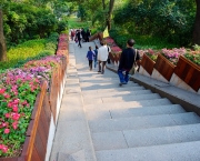 Parque Yuexiu (7)