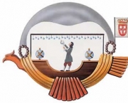 passarola-5