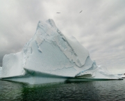 peninsula-antartica-9.jpg