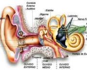 perigo-do-ouvido-entupido-4