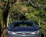 peugeot-206-sw-1