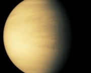 pisque-contra-venus-5