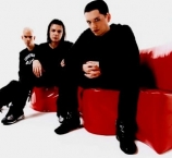 placebo-4