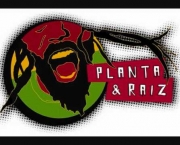 planta-e-raiz-essa-filosofia-2