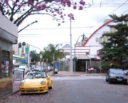 porche-amarelo-26