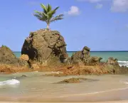 Praia de Tambaba (2)