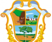 prefeitura-de-manaus4