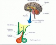 principais-problemas-a-memoria-5