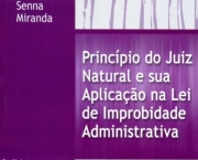 principio-do-promotor-natural-1