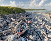 Marine pollution comprising of plastic bottles, foot ware, timber and fishing implements, washed ashore by tidal movement on a remote tropical island beach - probably drifting in from Indonesia. Cocos (Keeling) Islands, Indian Ocean, Australia