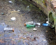 Pollution in Silver Lake in Dover, Delaware.