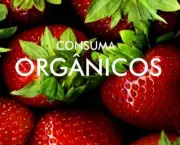 producao-de-alimentos-organicos-1