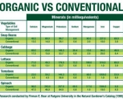 producao-de-alimentos-organicos-5