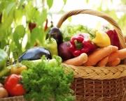 producao-de-alimentos-organicos-1