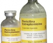 producao-em-massa-da-penicilina-4