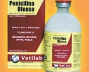 producao-em-massa-da-penicilina-6