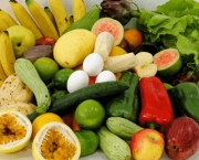 profissao-nutricionista-5