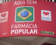 programa-farmacia-popular-caracteristicas-gerais-1