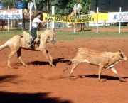 Proibicao de Rodeios no Brasil (16).jpg