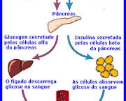 propriedades-da-homeostase-2