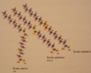 propriedades-quimicas-dos-acidos-graxos-2