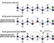 propriedades-quimicas-dos-acidos-graxos-5