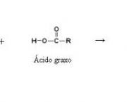 propriedades-quimicas-dos-acidos-graxos-6