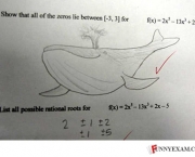 Desenho da baleia vale ponto na prova!