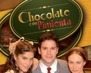 proxima-novela-de-vale-a-pena-ver-e-novo-13