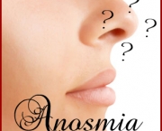 quais-as-causas-da-anosmia-1