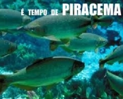 qual-a-duracao-desse-procedimento-para-os-peixes-4