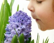 qual-o-diagnostico-da-anosmia-1
