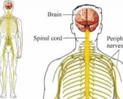 qual-o-prognostico-para-a-sindrome-de-shy-drager-2